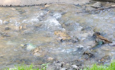 Nehirdeki su kirli, üzerinde plastik şişeler ve odun yüzüyor..