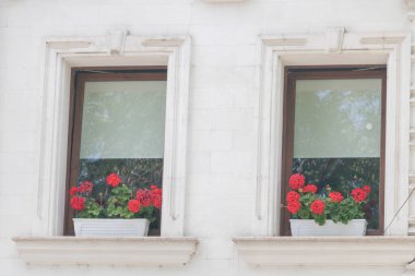 Pencerenin kenarında kırmızı sardunyalar ve beyaz kaplar olan iki pencere çerçevesi var..