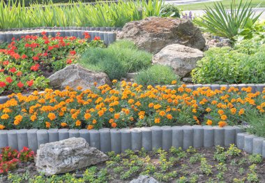 Şehir parkında güzel bir çiçek bahçesi var. Etrafında gri beton borular ve değişik boyutlarda kayalar var. Kırmızı kadife çiçekleriyle çevrili..