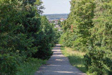Asfalt Yürüyen Yol, Bereketli Yeşil Ağaçlarla çevrili Güneşli bir yaz gününde Uzak Bir Köye ve Tepelere Giden Yol.