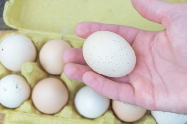 Arka planda bir karton çiftlik yumurtasıyla taze organik yumurta.