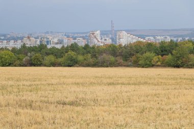 Harvested wheat field with golden stubble in foreground, green forest line and Chisinau city skyline with iconic City Gates buildings.