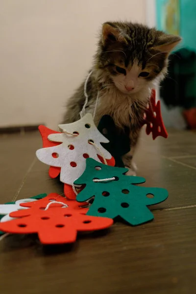 Malé Koťátko Vánočním Stromečkem Kočka Hraje Vírou Zmatená Výzdobě Nadýchané — Stock fotografie