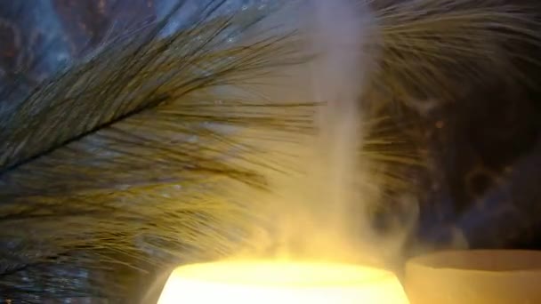2022ウクライナ ドニプロ 空気の本質的な油とドーターボトル 有用な特性 香り高い雰囲気 — ストック動画