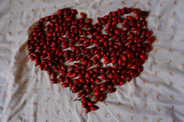 Getrocknete Hagebutten Für Kräutersud Rote Beeren Auf Einem Handtuch Zum — Stockfoto