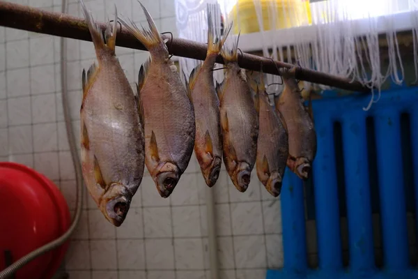 Ikan Kering Rumah Dengan Pengait Persiapan Ikan Kering Konsep Makanan — Stok Foto