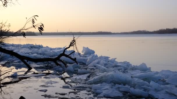 Blocks Ice River Bank Ice Drift Ice Floes Rivers Lakes — Αρχείο Βίντεο