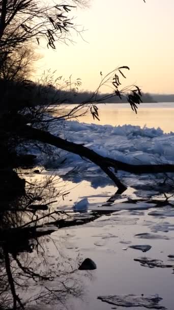 Blocks Ice River Bank Ice Drift Ice Floes Rivers Lakes — Vídeo de Stock