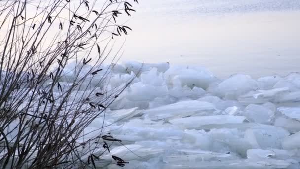 Blocks Ice River Bank Ice Drift Ice Floes Rivers Lakes — Stockvideo