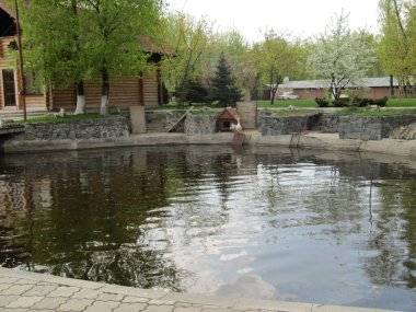 Pond for geese on the farm. A pond for bathing animals. Hygiene and bird care