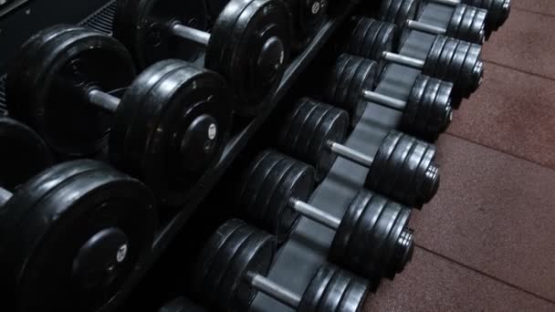 Athletic Dumbbells Gym Sports Equipment Strength Exercises Weightlifting Bodybuilding Set — ストック動画