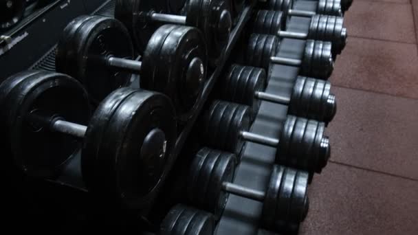 体育馆里的运动哑铃 举重和健美中用于力量锻炼的运动器材 一组肌肉质量 — 图库视频影像