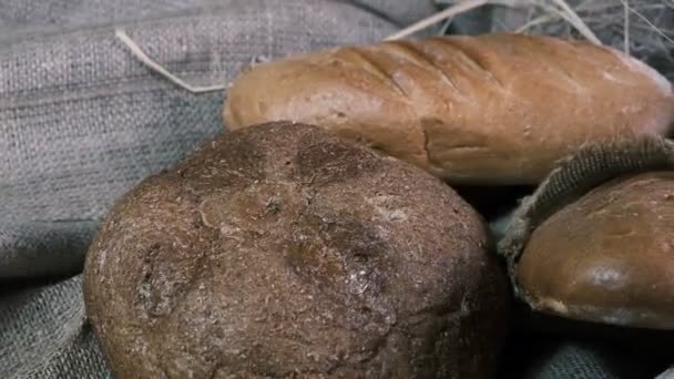 Deliciosos Pães Padaria Vários Pães Baguetes Centeio Trigo Sarraceno Farelo — Vídeo de Stock