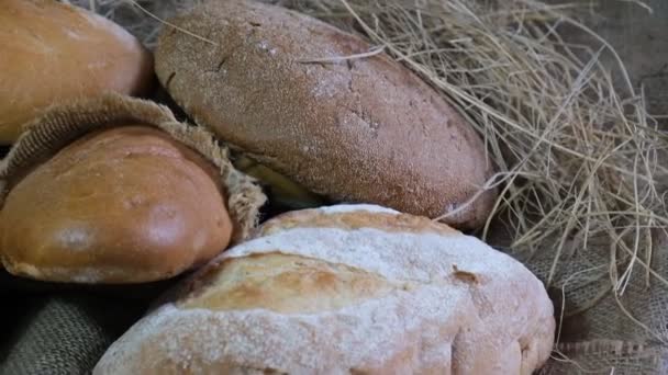 Deliciosos Pães Padaria Vários Pães Baguetes Centeio Trigo Sarraceno Farelo — Vídeo de Stock