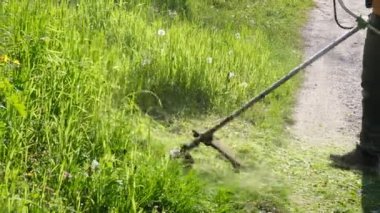 Bahçıvan çimleri biçiyor, çim biçme makinesi bölgeyi temizliyor. Bahçe budayıcı. Bahçedeki yüksek otları biçiyor.