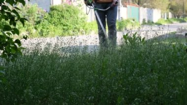 Bahçıvan çimleri biçiyor, çim biçme makinesi bölgeyi temizliyor. Bahçe budayıcı. Bahçedeki yüksek otları biçiyor.