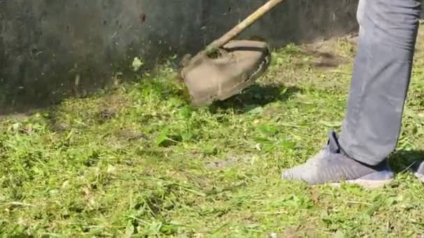 Homem Jardineiro Cortando Grama Cortador Grama Manual Para Limpar Área — Vídeo de Stock