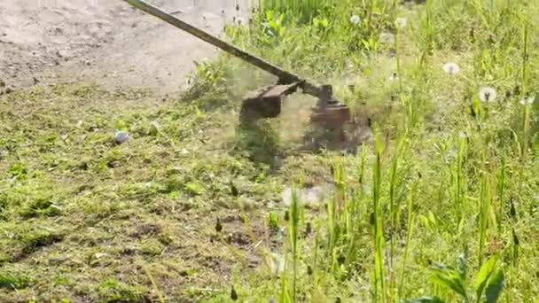 Tuinier Man Maait Het Gras Handmatige Grasmaaier Voor Het Reinigen — Stockvideo