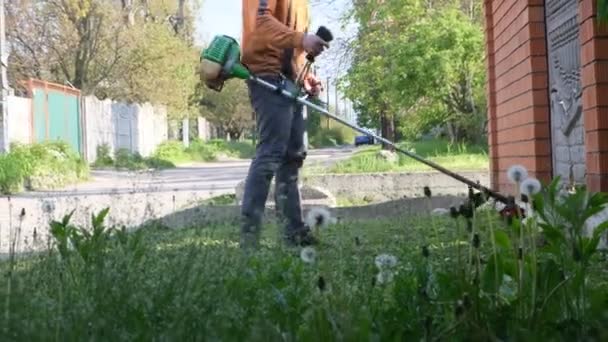 Trädgårdsmästare Man Klipper Gräset Manuell Gräsklippare För Rengöring Området Trädgårdstrimmare — Stockvideo