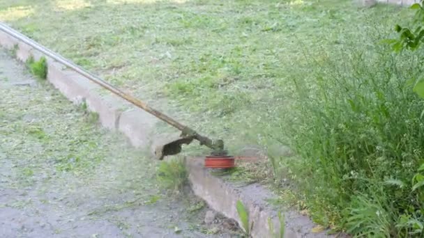 Gardener Man Mowing Grass Manual Lawn Mower Cleaning Area Garden — Stock Video