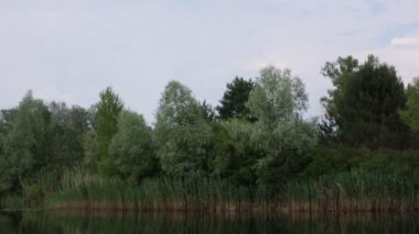 Dnieper Nehri 'ndeki su akışı sızıntının darboğazında. Çevredeki ağaçlar ve ormanlar, şehirden uzak yerler.