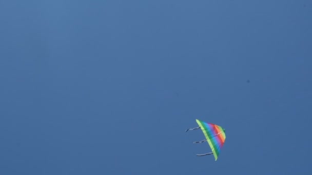 Slender Man Beach Flying Multi Colored Kite Active Recreation Banks — Stock Video