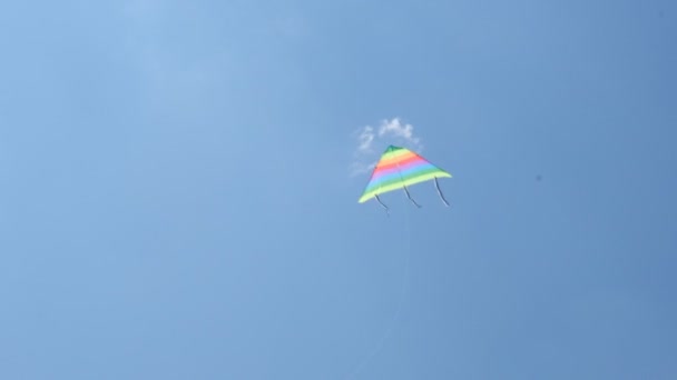 一个身材苗条的男人正在海滩上放着一只五颜六色的风筝 在河岸上进行积极的娱乐活动 成人和儿童的娱乐 — 图库视频影像
