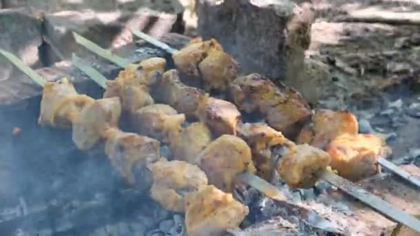 Man Roasts Meat Fire Close Hands Shish Kebab Cooking Pork — Stock Video