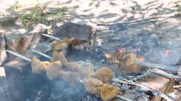 Man Roasts Meat Fire Close Hands Shish Kebab Cooking Pork — Stock Video