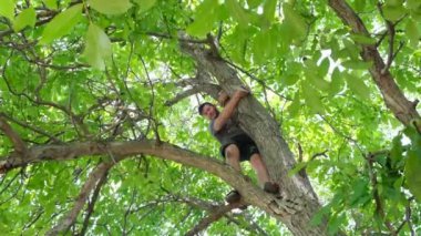 Park, sigortası olmayan yüksek bir ağaçta kendini tehlikeye atar, eski kurumuş dalları keser. Bahçıvanlık kendi başına. Düşme tehlikesi.