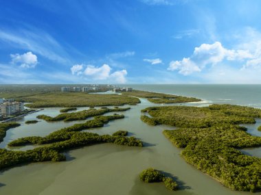 Blue sky over mangrove waterway just beyond the ocean in Bonita Beach, Florida. clipart