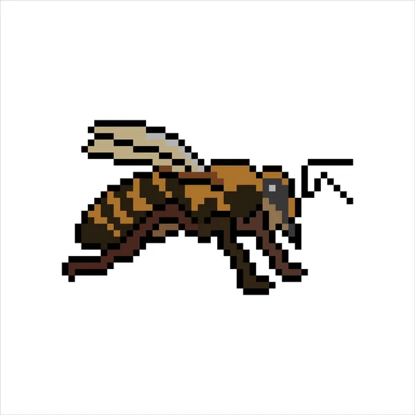 Honey Bee Pixel Art Illustrazione Vettoriale — Vettoriale Stock