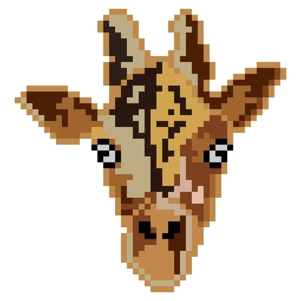 Giraffe Head Pixel Witte Achtergrond — Stockvector