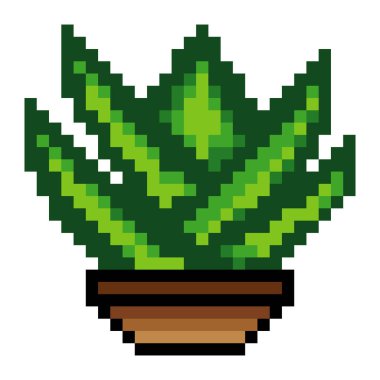 Aloe Vera, pikselli saksıda bitki.