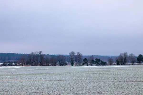 Kış manzarası, biraz kar, güzel bir gün.