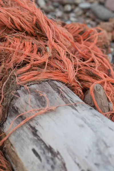 Yazın, Avrupa 'nın kırsal kesimlerinde, ormandaki bir nehre yakın. 
