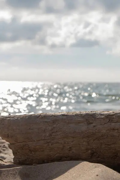 Yazın, Avrupa 'nın kırsal kesimlerinde, ormandaki bir nehre yakın. 