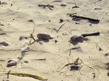 Kuzey Denizi Helgoland Adası