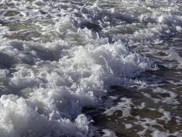 Deniz köpüğü deniz kıyısında