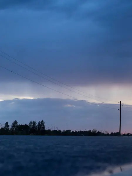 Arka planda ağaç olan güzel bir yol görüntüsü.