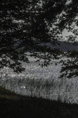 Arkasında bir göl olan güzel bir manzara.