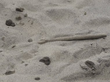 Kumsaldaki bir kumsala yakın çekim