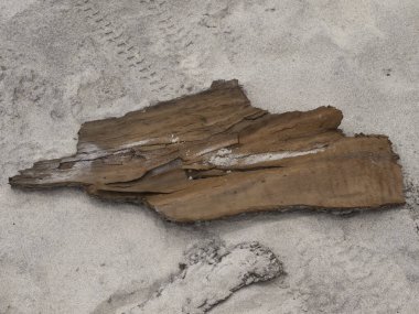 Kırık bir ahşabın yakın çekimi.