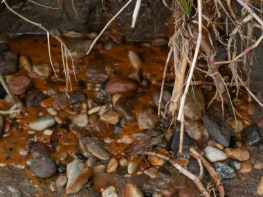 Kayaların üzerinde akan su
