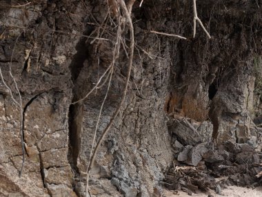 Doğanın güzel manzarası
