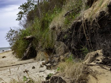 Deniz kıyısının güzel manzarası
