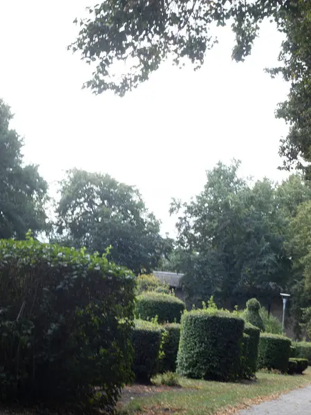 Parkın güzel manzarası