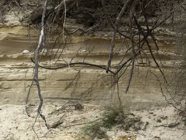 Kuzeyde kumlu bir sahil manzarası