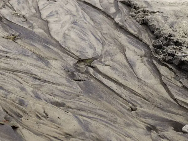 kum dokusu, arkaplan, kum, doğa