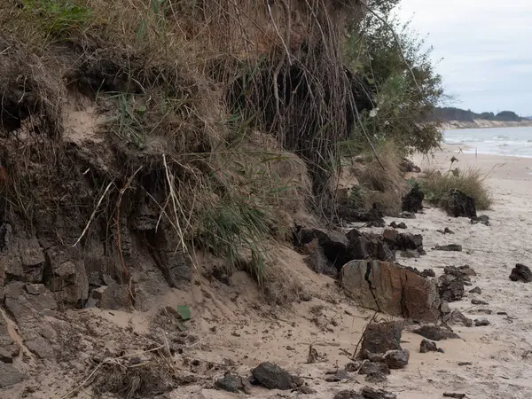 Deniz kıyısının güzel manzarası